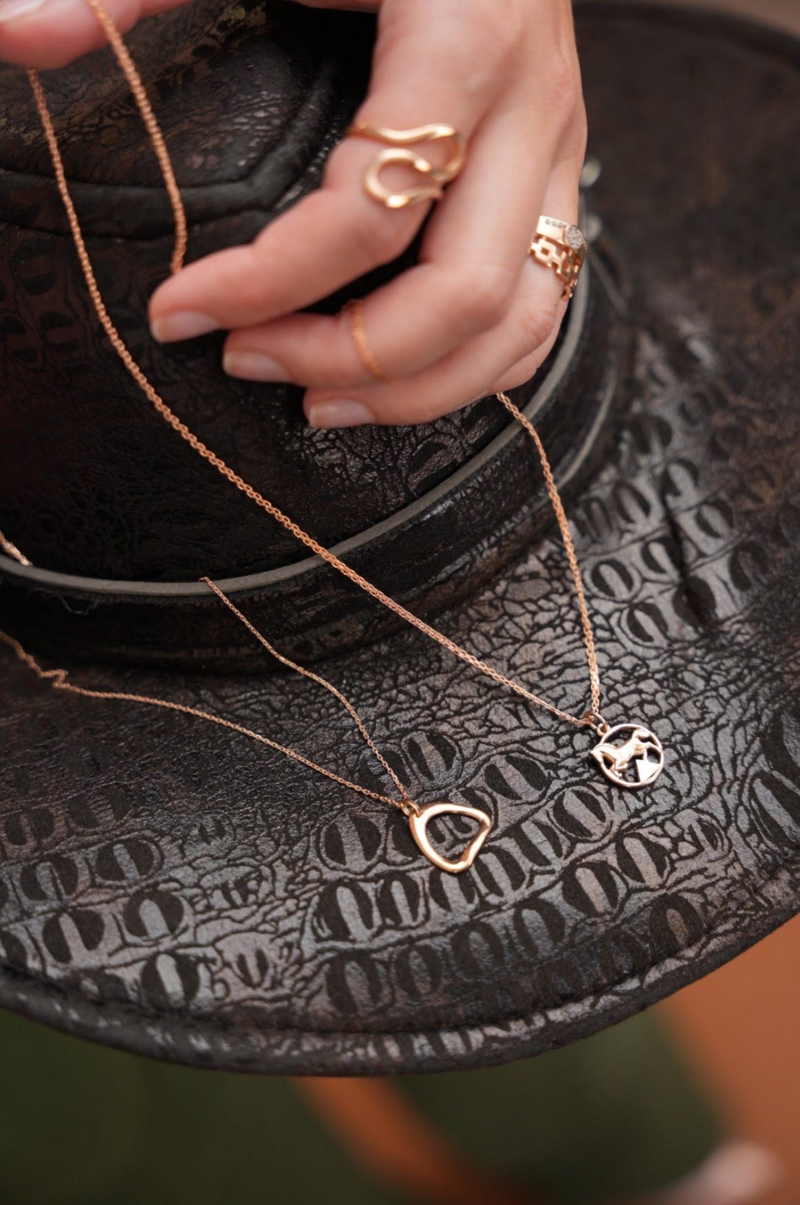 585 prabos auksinė balnakilpė