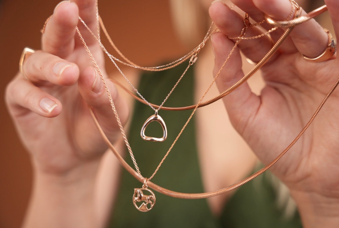 585 prabos auksinė balnakilpė