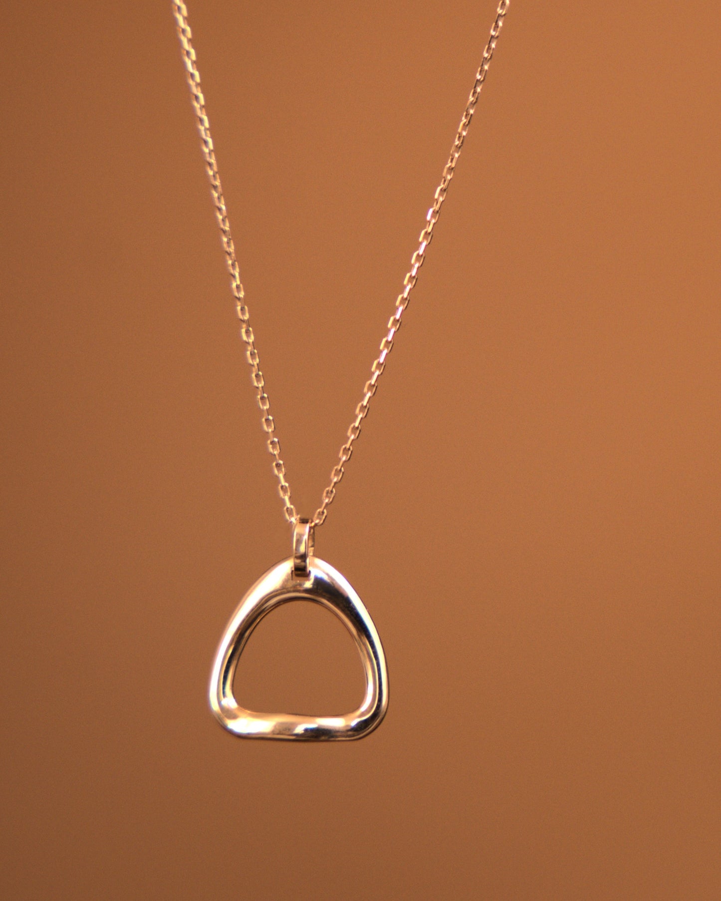 585 prabos auksinė balnakilpė