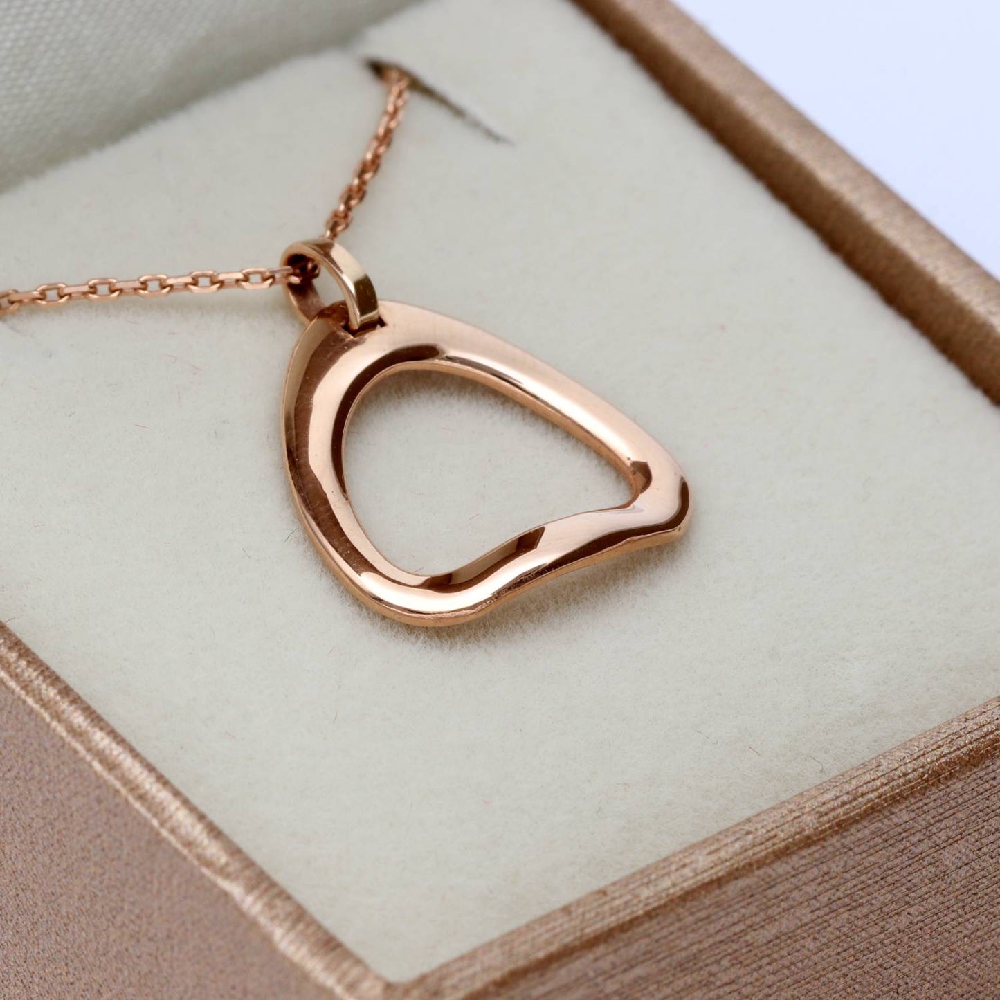 585 prabos auksinė balnakilpė