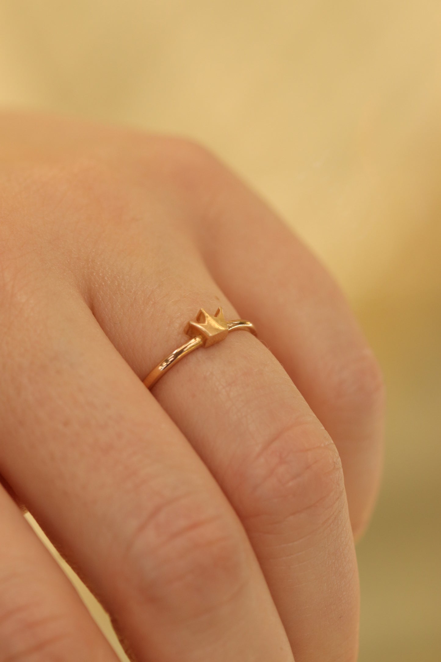 Auksinis žiedas su karūna